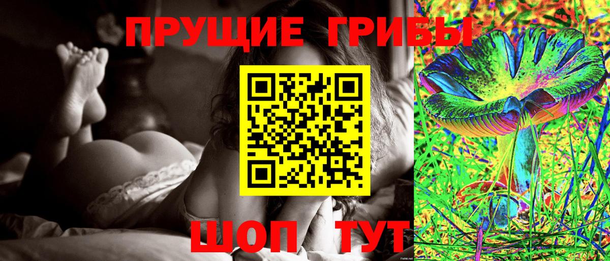 Псилоцибиновые грибы прущие грибы  Вход с VPN  цены   Щёлково 